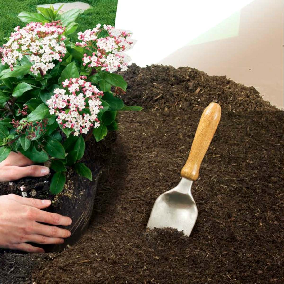 Planting a flower with soil mix or compost makes a difference.