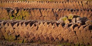 Peat lined up on the ground