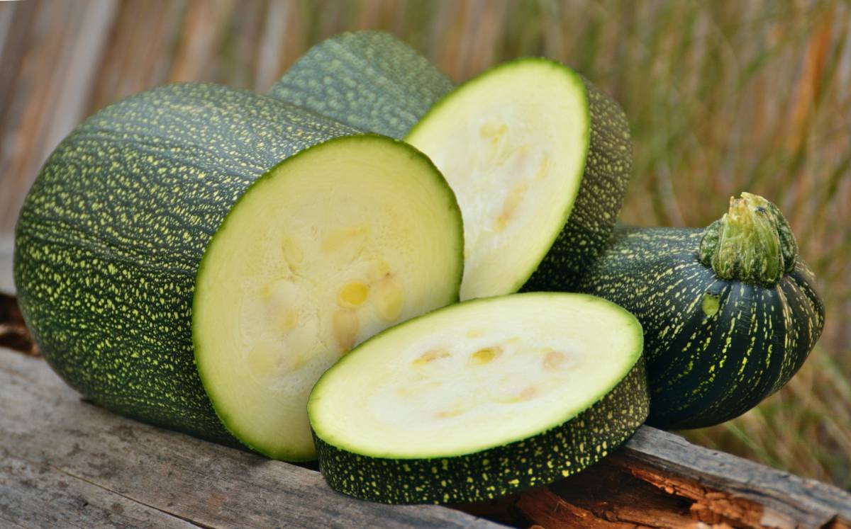 Zucchini health benefits