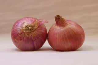 Two onions on a cloth