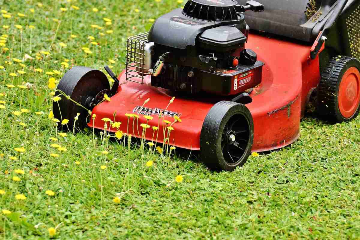 Mower on a renovated lawn