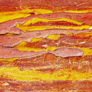 Strawberry tree bark