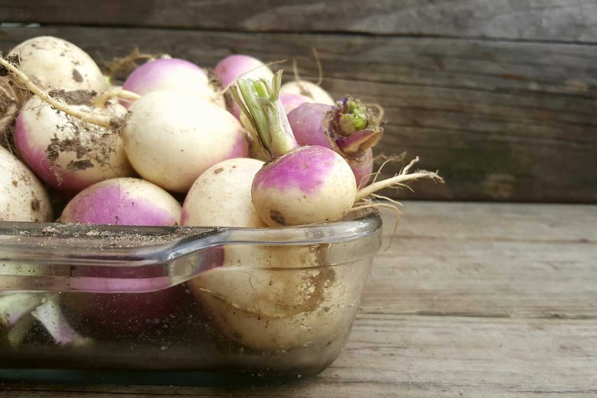 Turnips in a glass tray