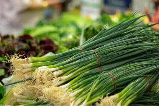 Harvesting welsh onion