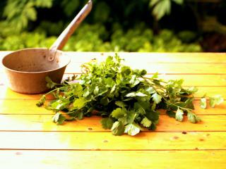 Coriander chopped up on a table with a small kettle used to prepare it for its health benefits.