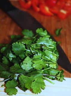 Harvesting coriander
