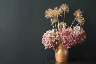 Bouquet of dried flowers