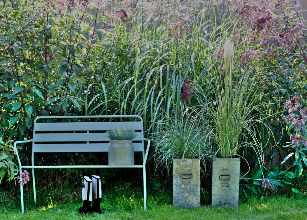 Bench with grasses in a landscaped garden