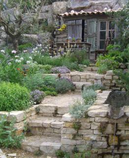 Inspiration to create a mediterranean garden