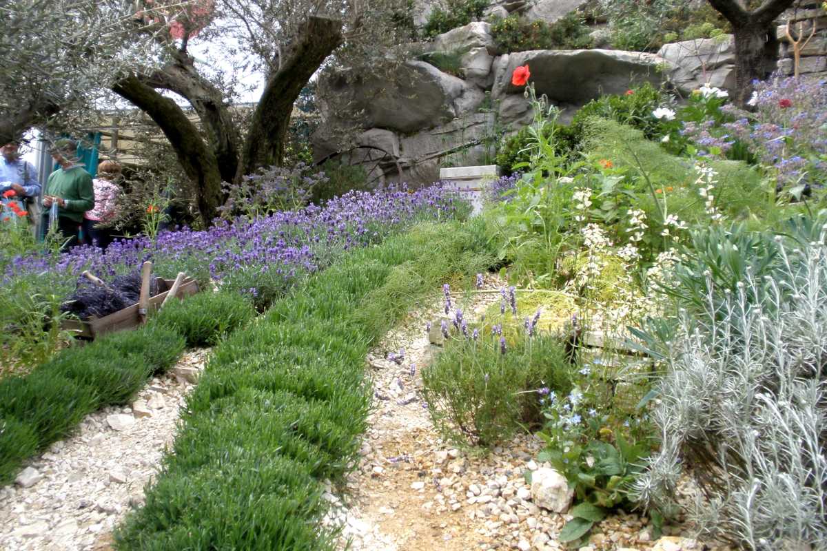 Mediterranean garden