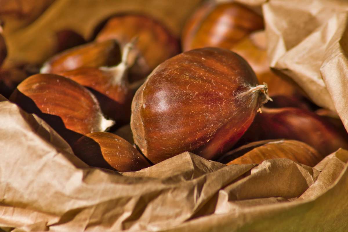 Paper bag with a handful of chestnuts