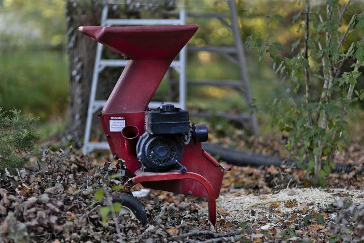 Chipper shredder for wood