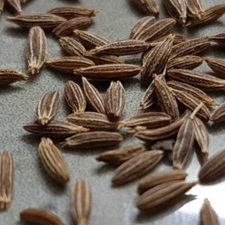 Cumin benefits