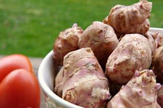 Jerusalem artichoke health benefits