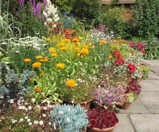 A flower-filled garden bed in July