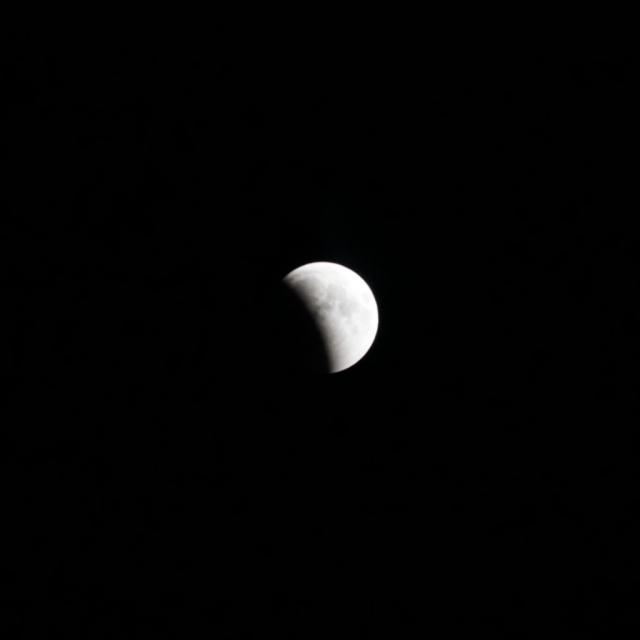 gardening with moon