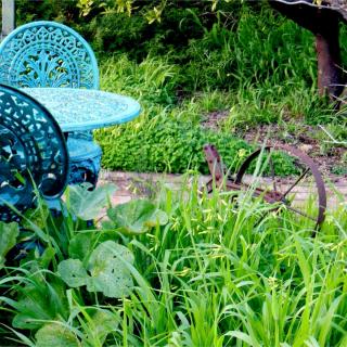 Tasks for autumn in the garden