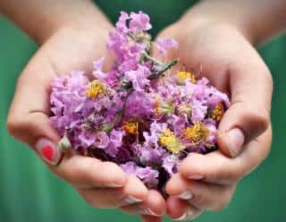 Child with flowers in hand