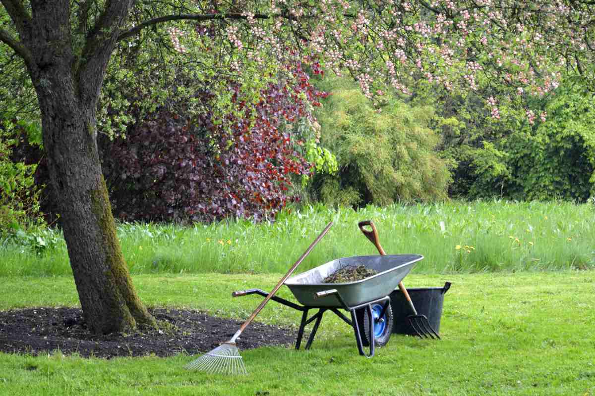 planting trees