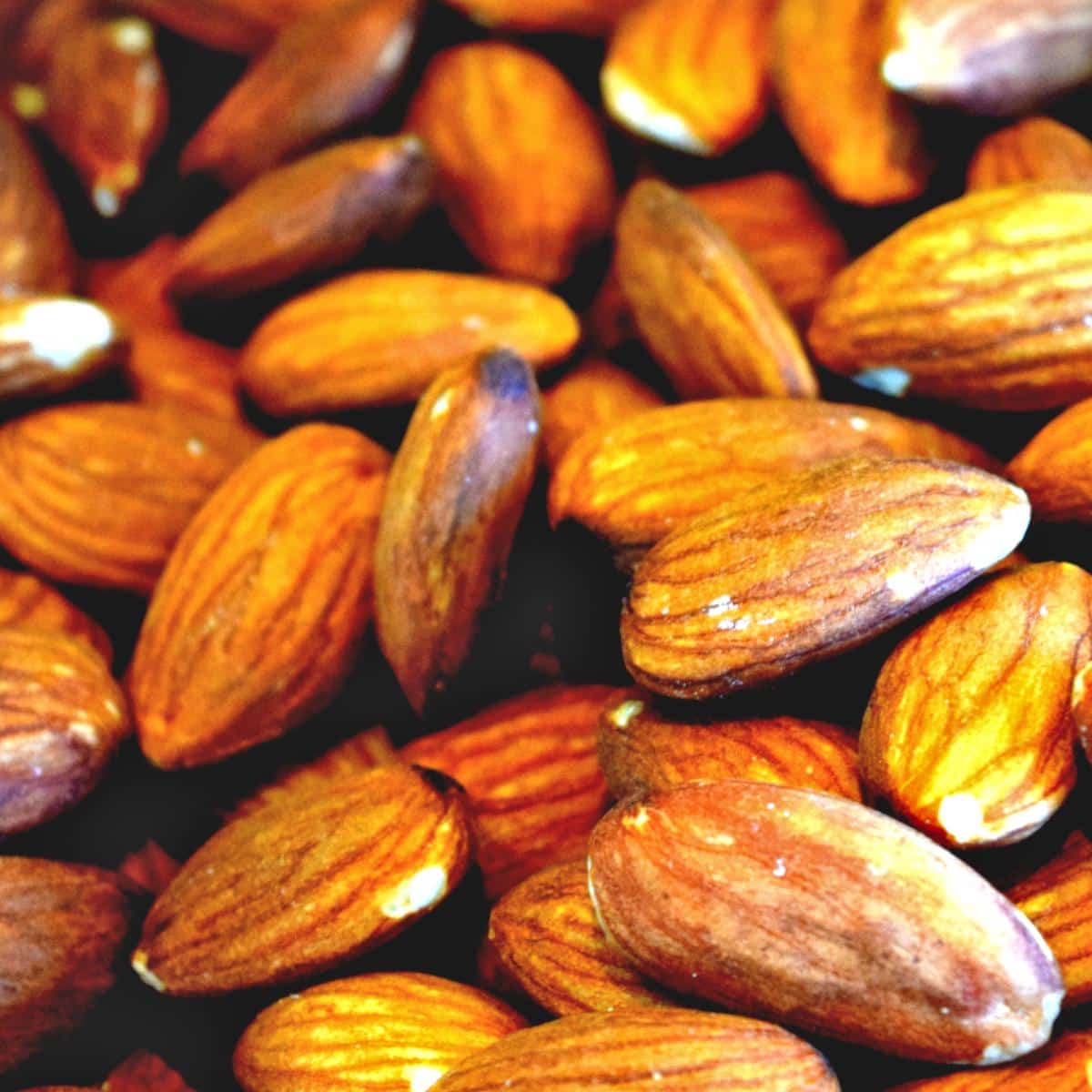 Fresh almonds in warm light
