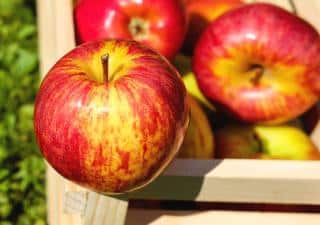 Growing apple for its benefits