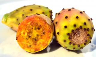 Benefits of barbary fig