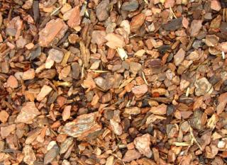 Bark from maritime pine, advantages