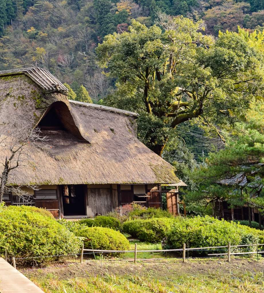 A thatch-roofed house with plants selected to thrive in that climate.