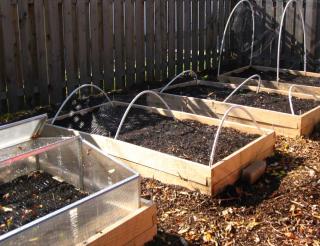 Beds prepared to cover seedlings and sowing