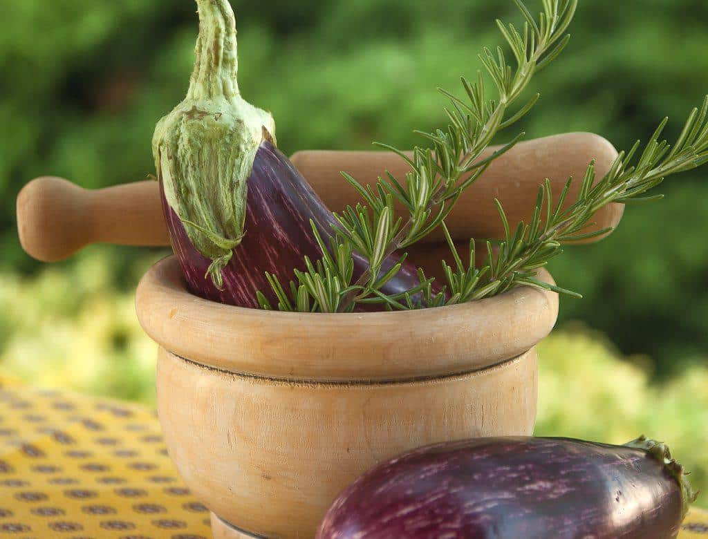 eggplant benefits