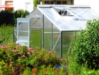 Choosing the right greenhouse