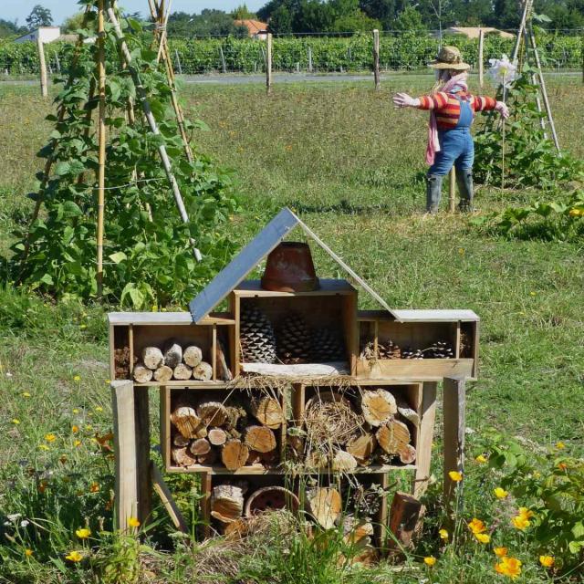 Definition of permaculture
