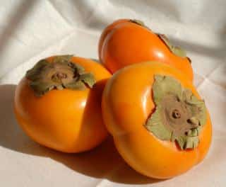 Persimmon fruits