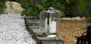Plant mulch