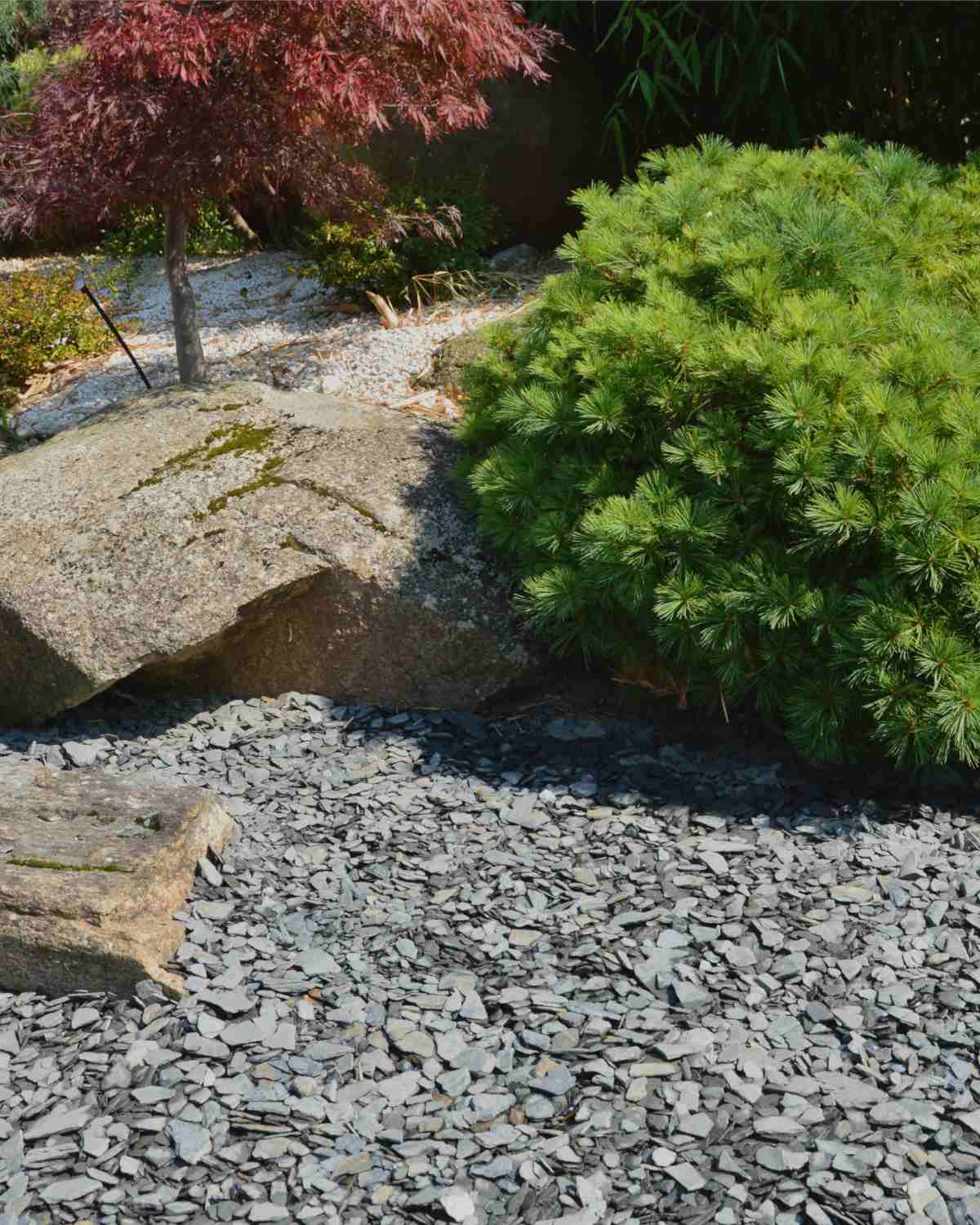 Slate mulch, perfect for acid-loving plants and shrubs