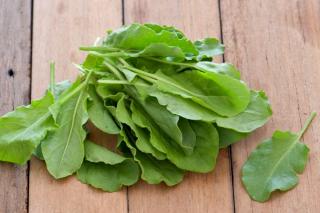 Sorrel harvested