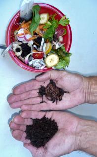 Kitchen waste converted to compost in an appartment composter