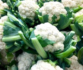 Harvesting Cauliflower