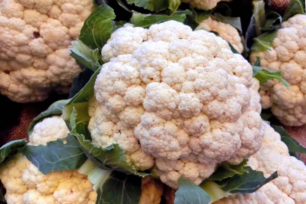 Health benefits of cauliflower