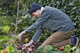 Planting bulbs in clay soil