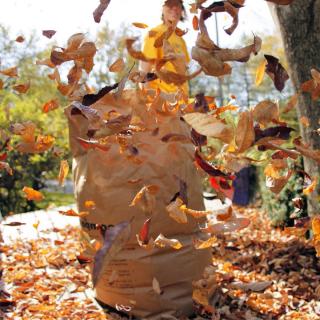 Fall tasks like raking leaves can be fun!
