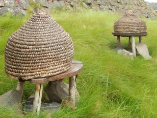 Straw wicker hive on stones