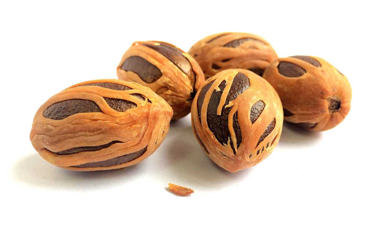 Health benefits of nutmeg, here a few layed out to dry