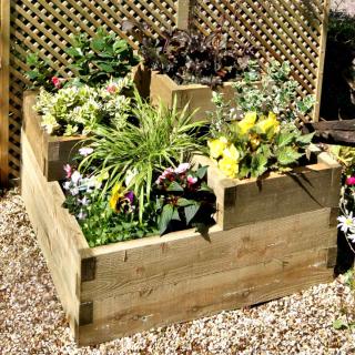 Square-foot organic vegetable patch