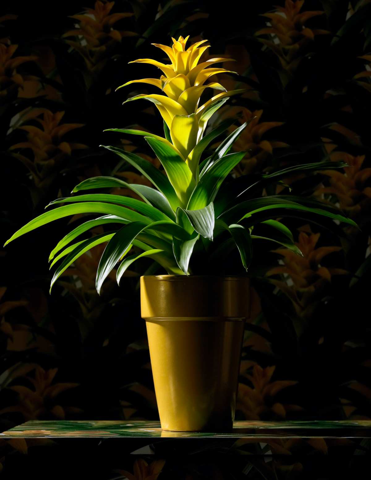 Yellow guzmania