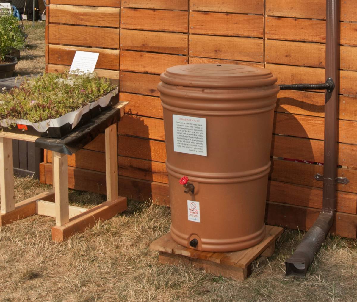 Rainwater tank connected to gutter spout