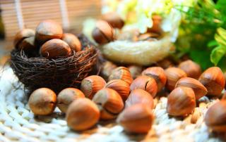 Hazelnuts cracked open displayed to show their health benefits.