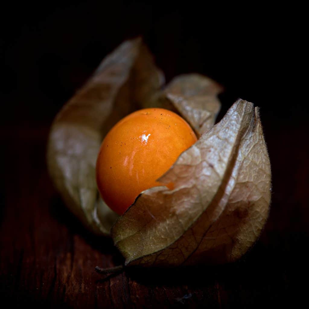 Physalis, a fruit with many benefits