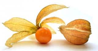Health benefits of physalis