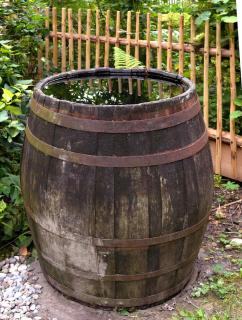 Wooden rainwater barrel